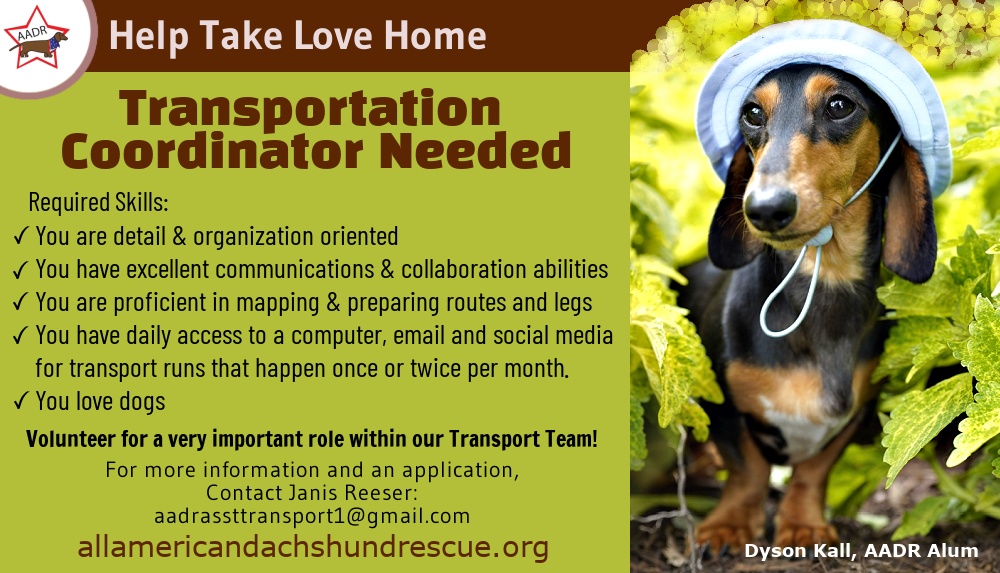 Transport Coordinator_2026 2