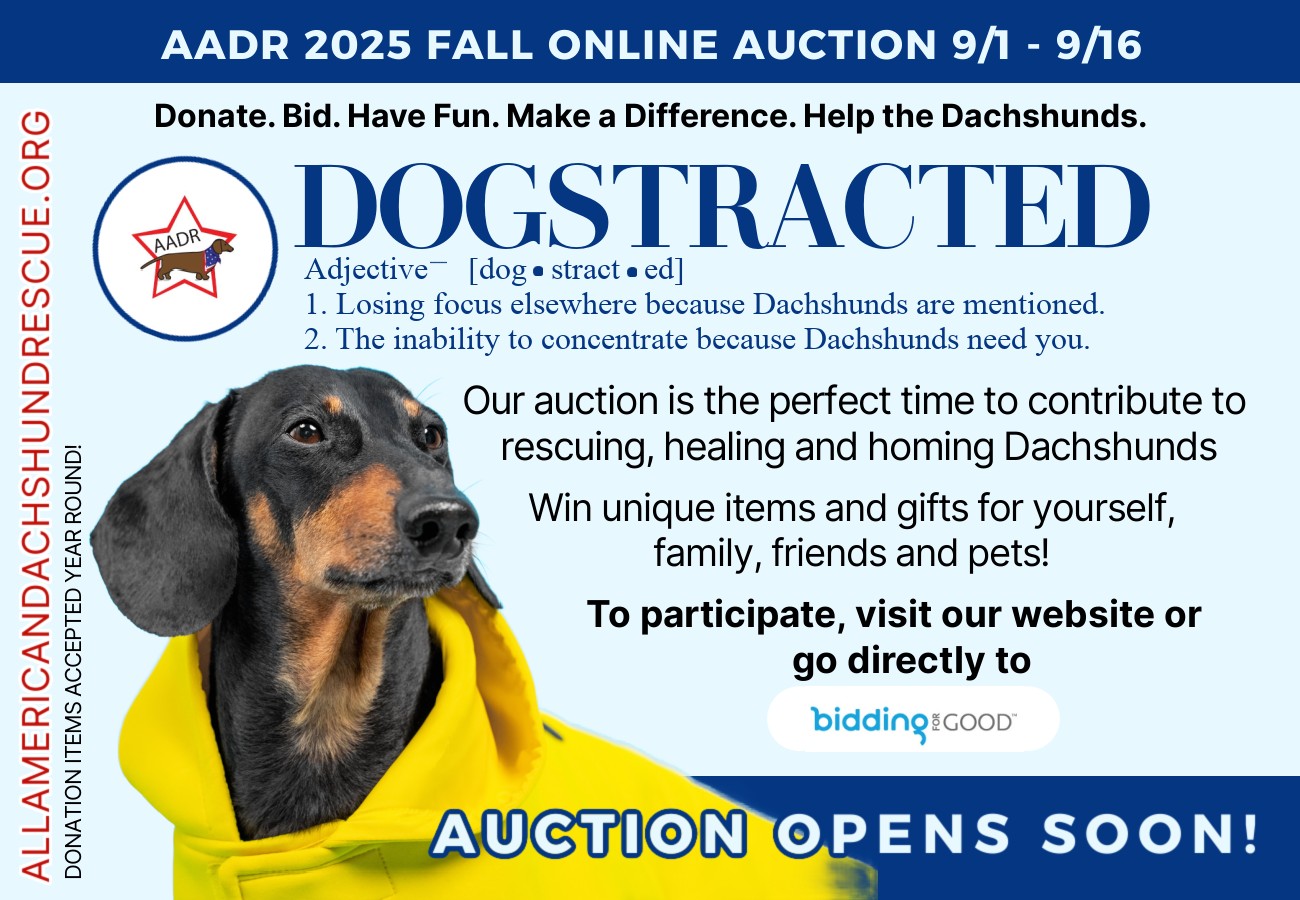 2025 AADR Fall Auction_Opens Soon