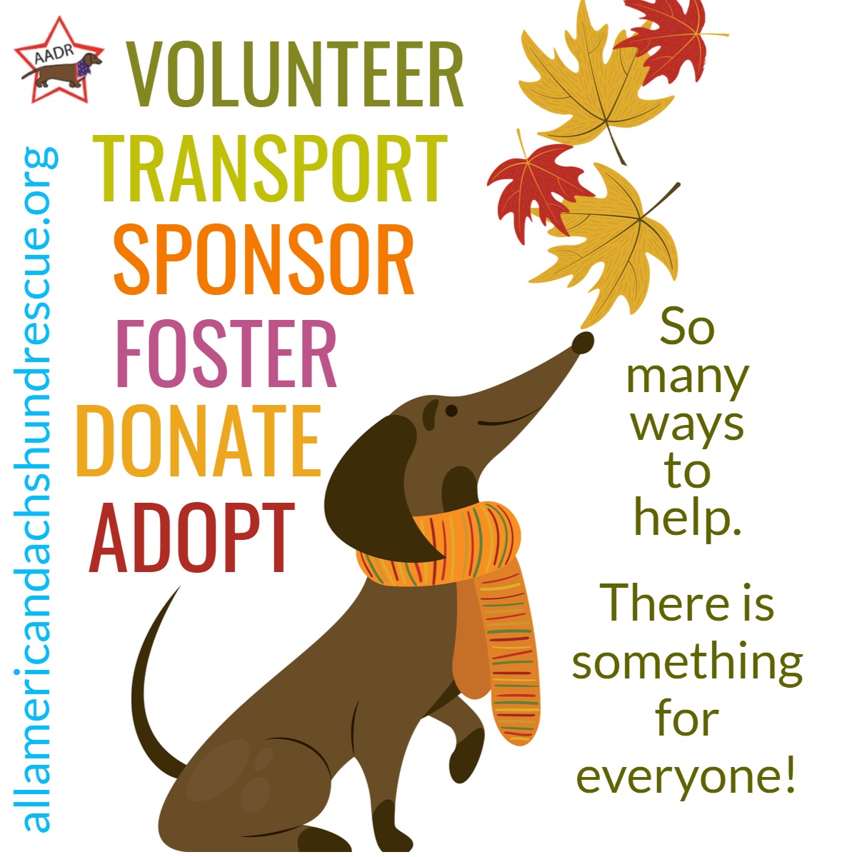 2021 Volunteer_Fall 2021 Volunteer_Fall