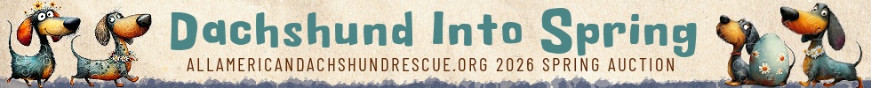 2026 Spring Auction_Banner