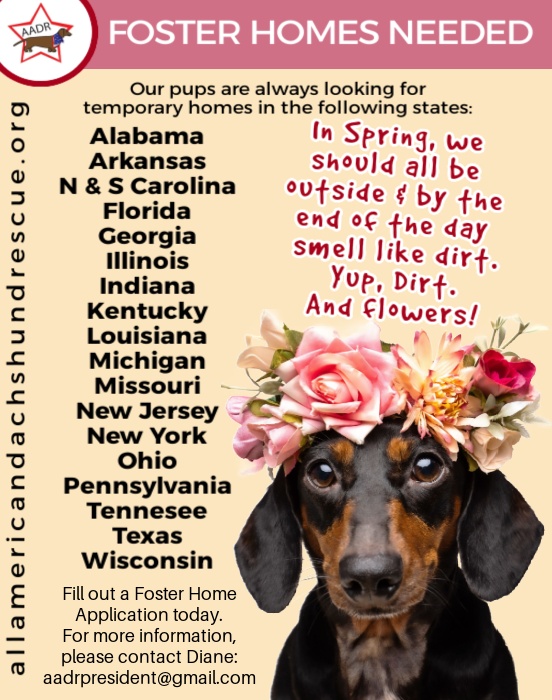 2026 Foster Homes_Spring