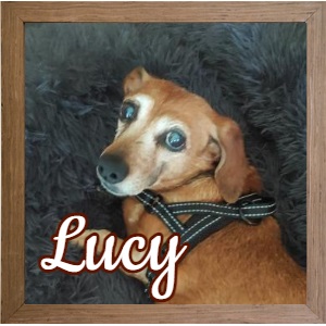 Lucy 4_FP Photo Lucy 4_FP Photo