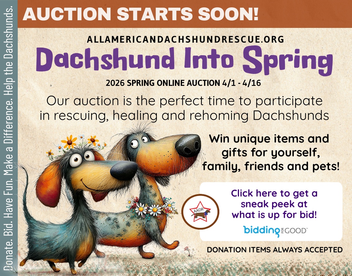 2026 Spring Auction_Starts Soon