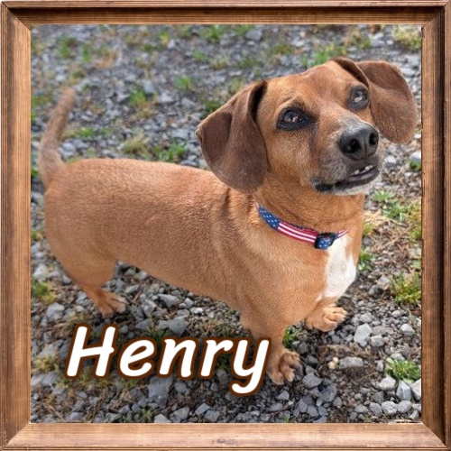 2026 FP_Henry