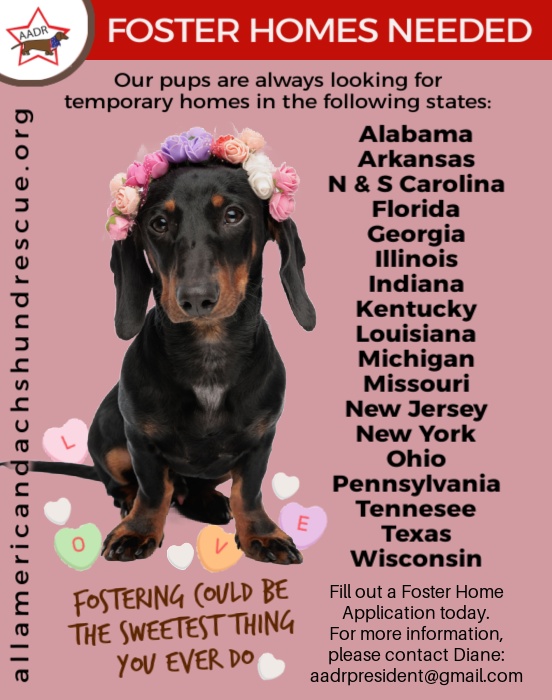 2026 Foster Homes_Valentines 2