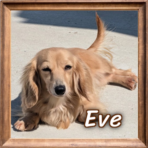 2026 FP Photo_Eve