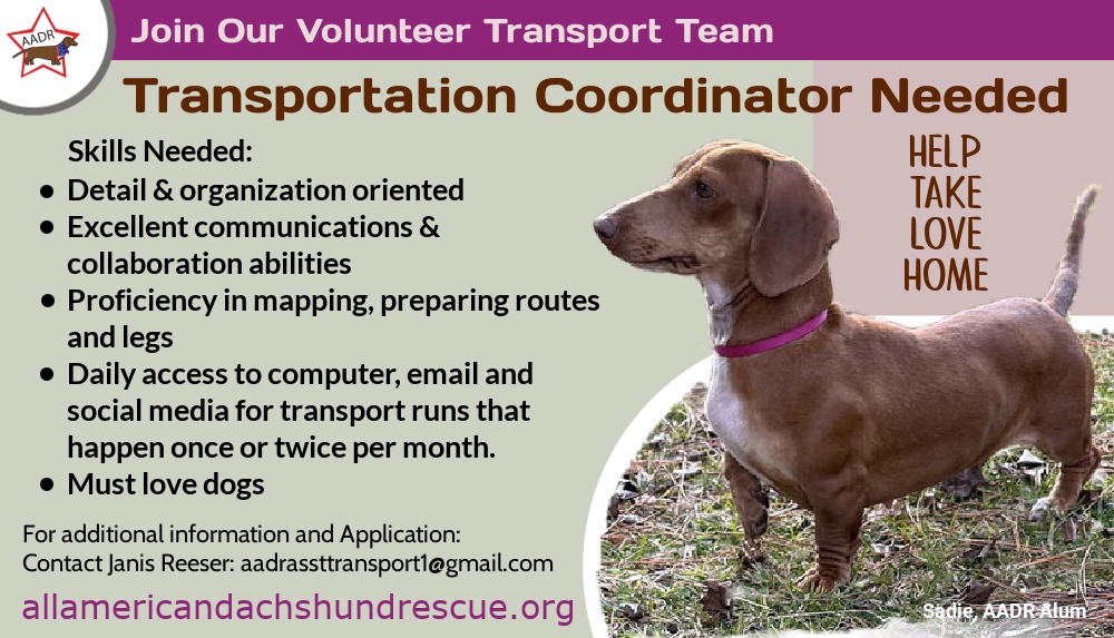 2026_Transport Coordinator