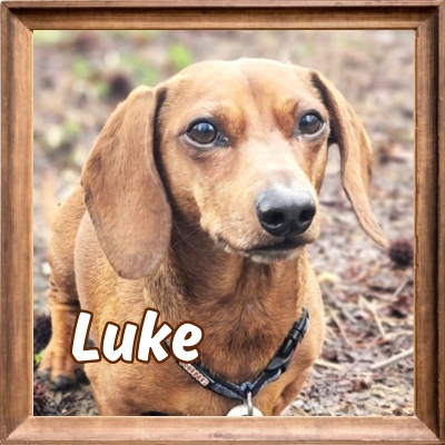 2026 FP_Luke 4