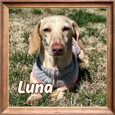 2026 FP_Luna 3