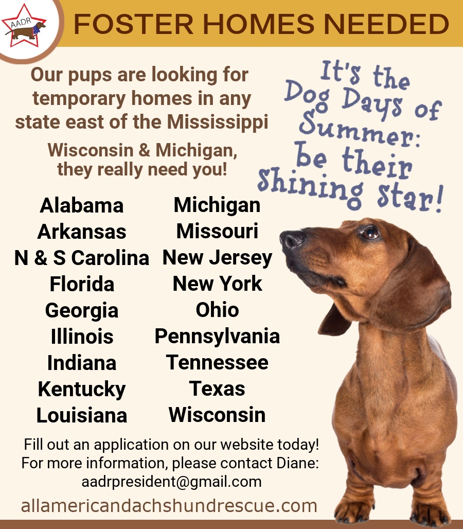 2026 Foster Homes_August