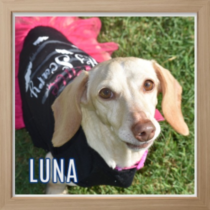 2025 FP_Luna