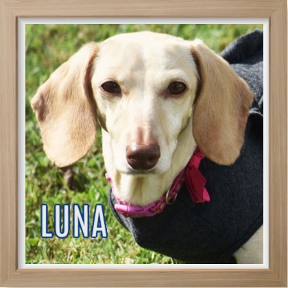 2025 FP_Luna Nov update photo