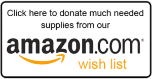 Shop our dogs' wish list!