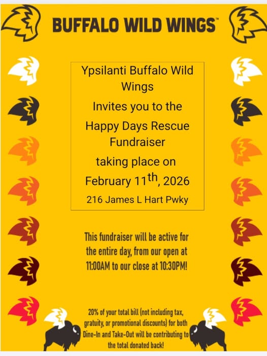 BuffaloWW - Feb 2026