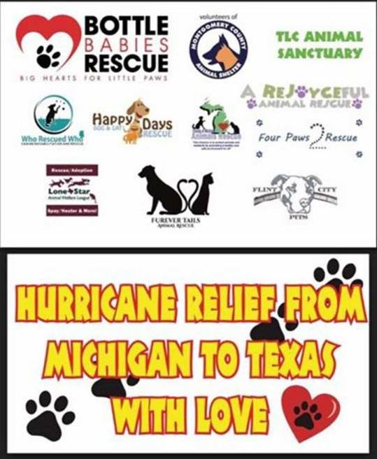 Happy Days Dog and Cat Rescue