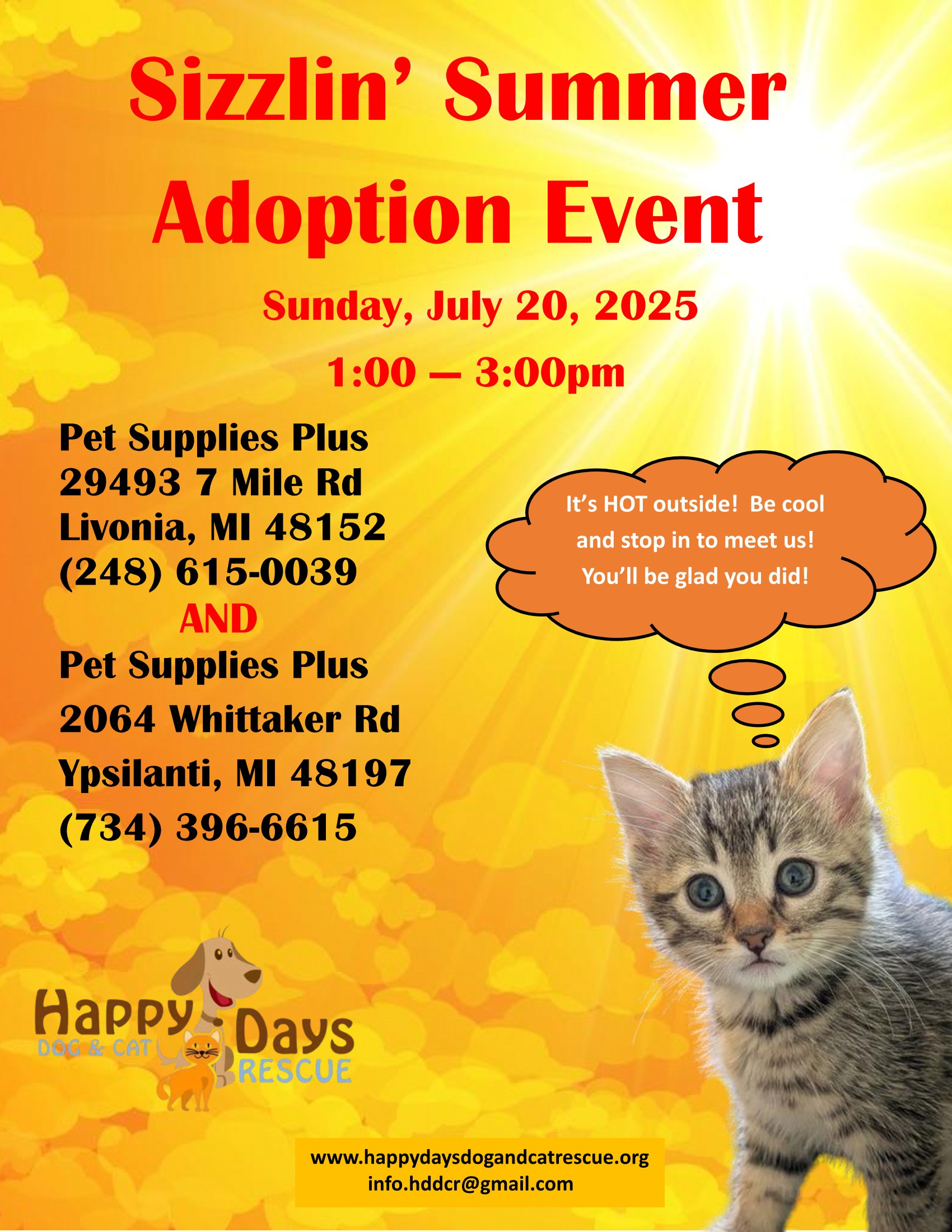 Sizzlin' Summer Adoption Event