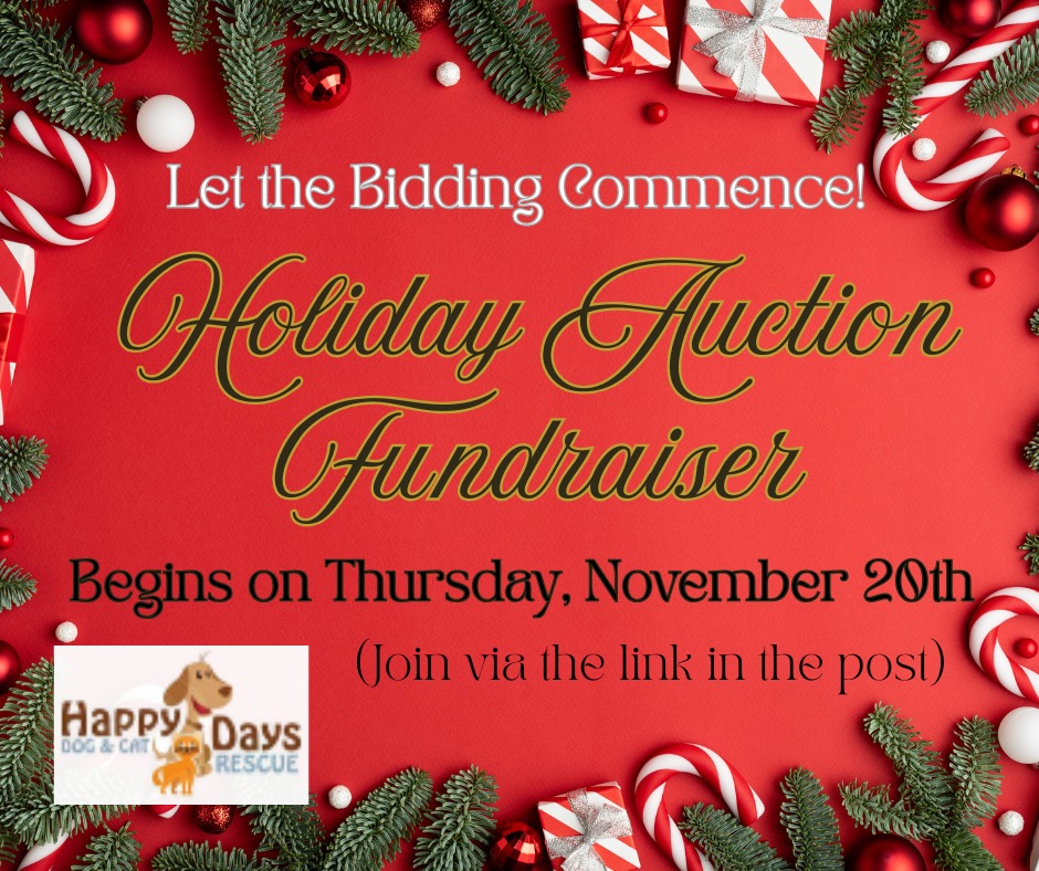 Holiday Auction, Nov 2025