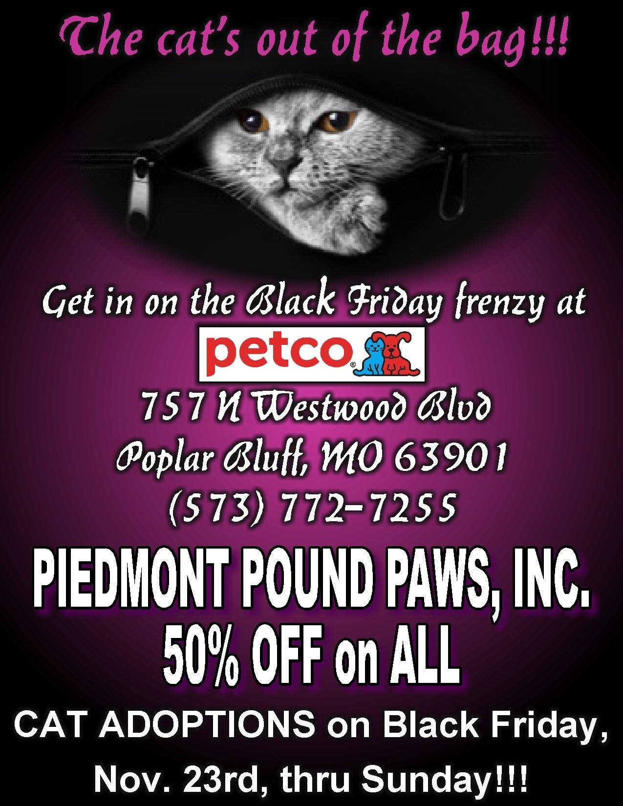 Black Friday Poster