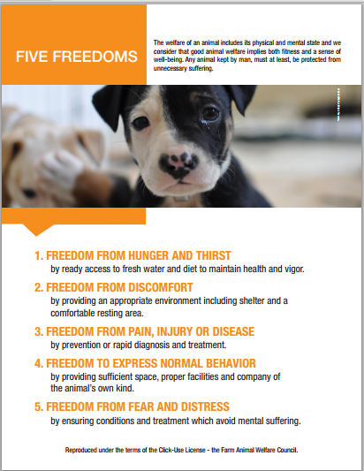 5 freedoms 5 freedoms