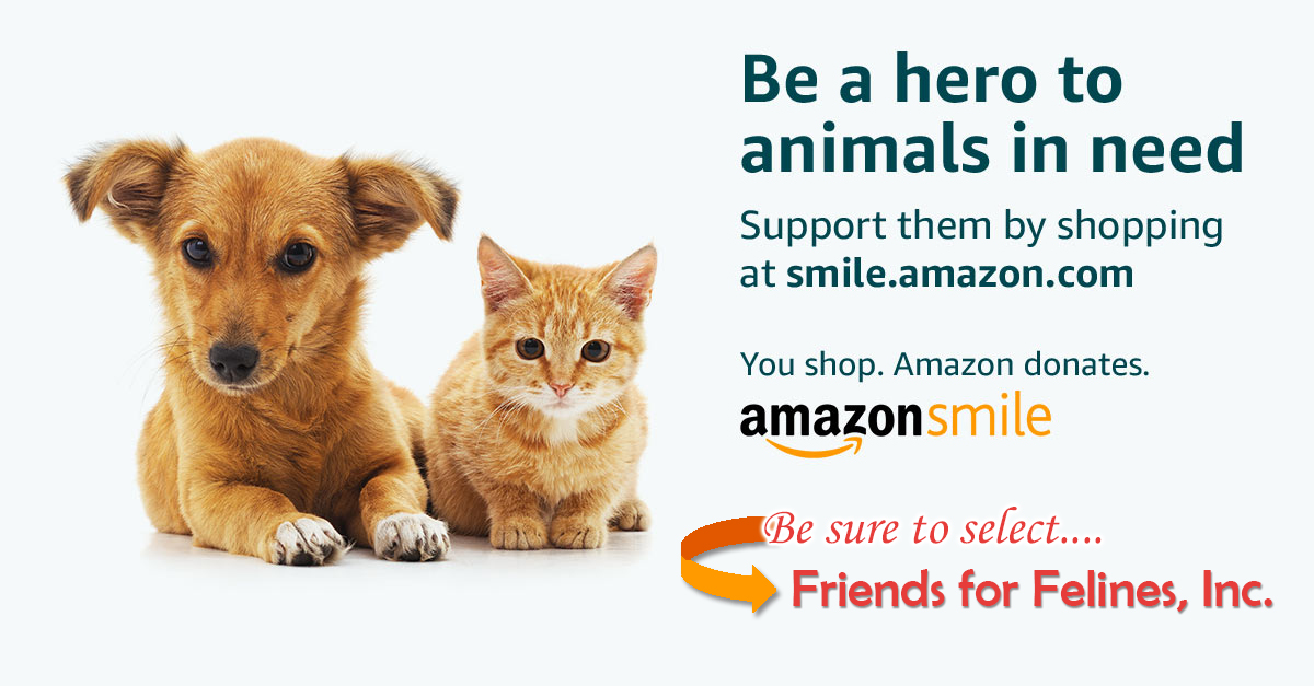 Amazon Smile
