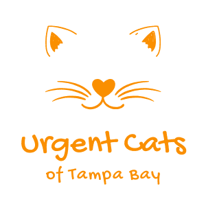 Urgent Cats of Tampa Bay