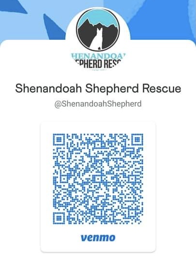 Venmo