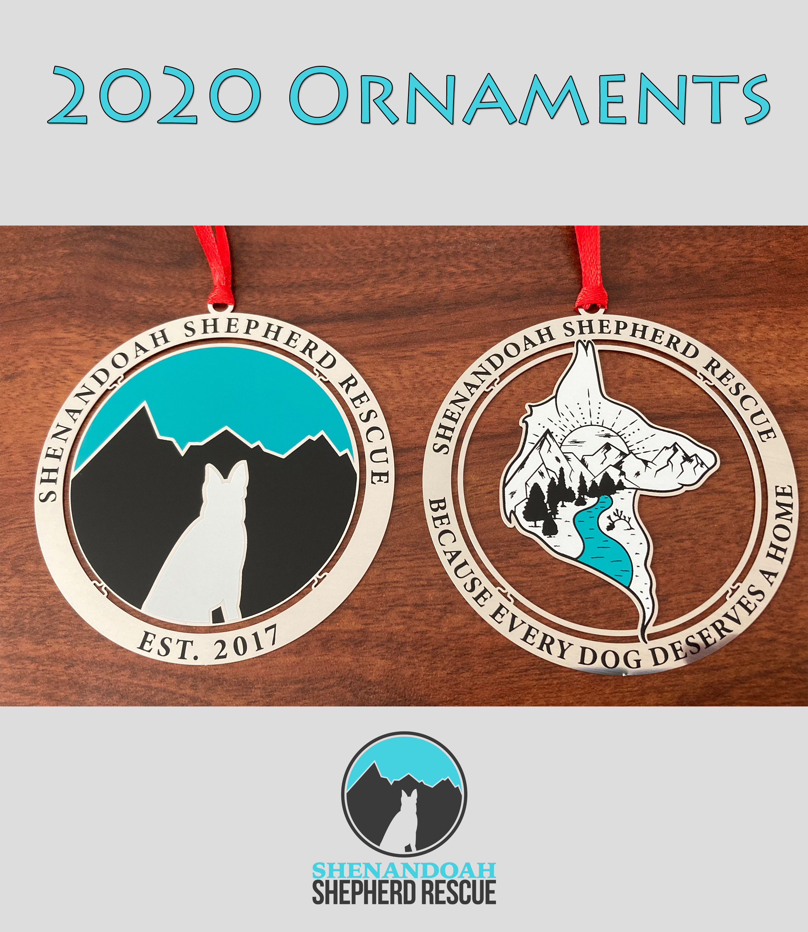 2020 Ornament 2020 Ornament