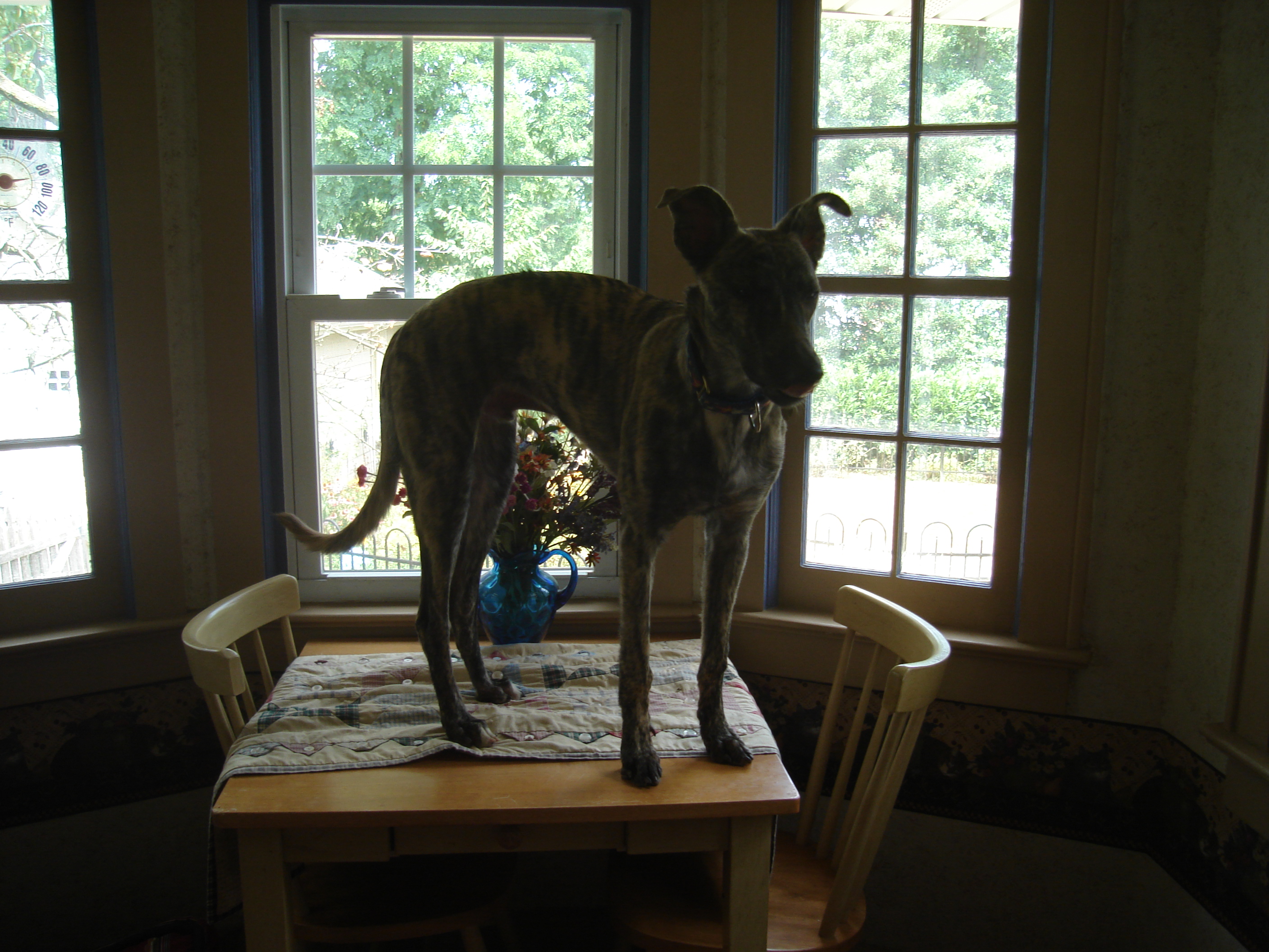 JT on Table