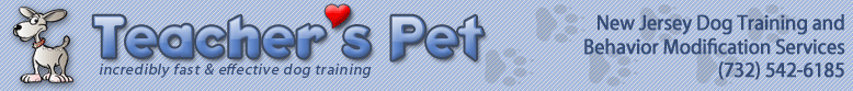 Teacher's Pet Teacher's Pet