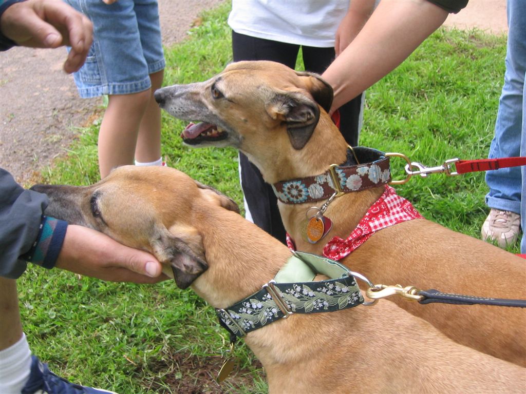Sheba & Sasha 3