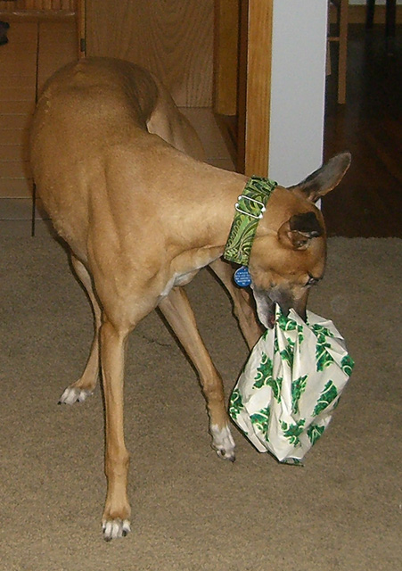 Zander xmas