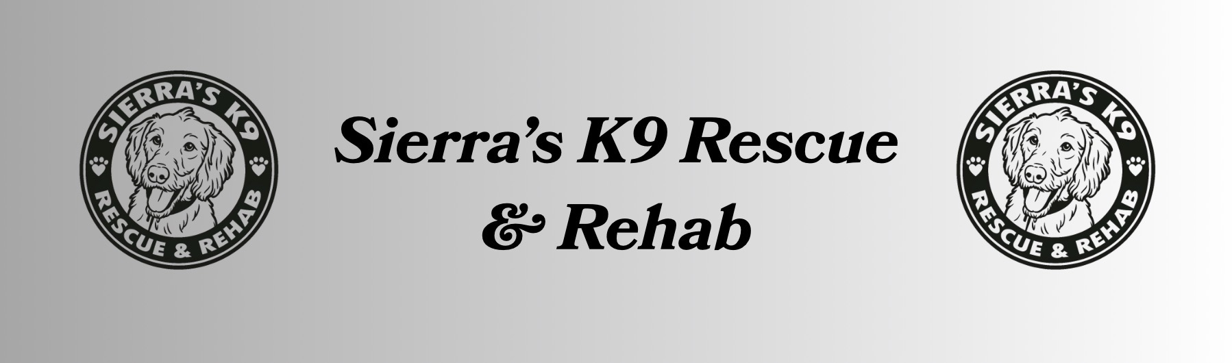 Logo Banner