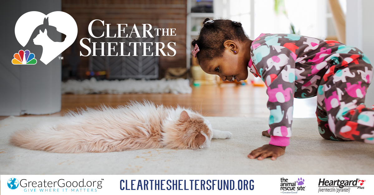Clear the Shelters campaign