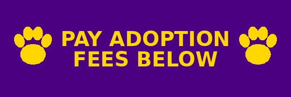 Pay Adoption Fees purple