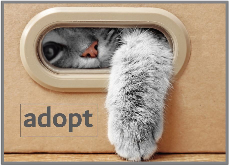 Sheltering Hands Inc.