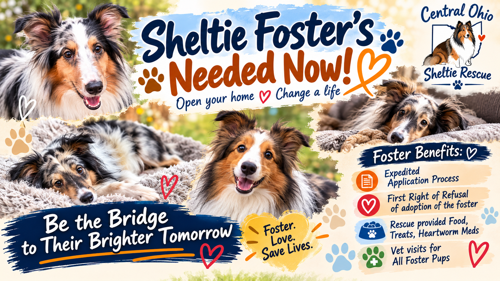 Fosters Needed