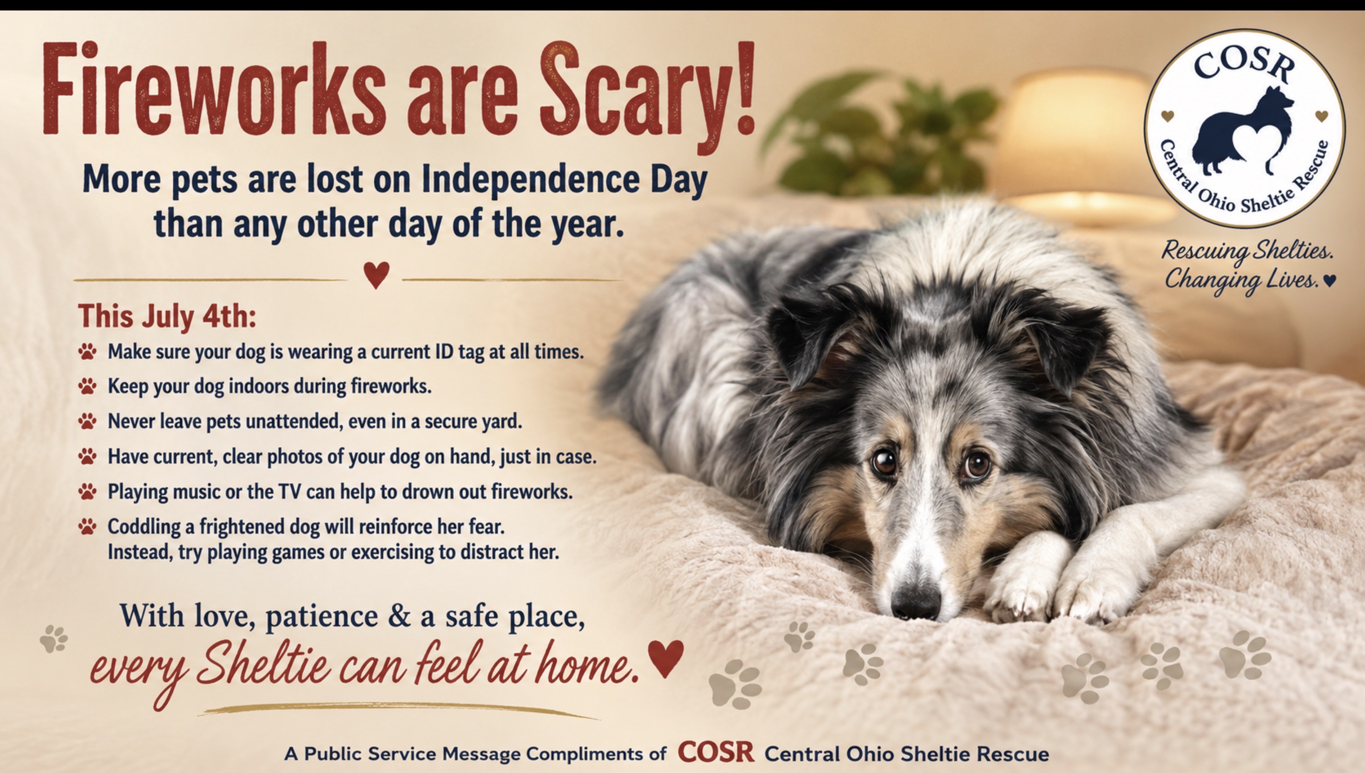 July 4th PSA