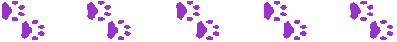 pawtracks pawtracks