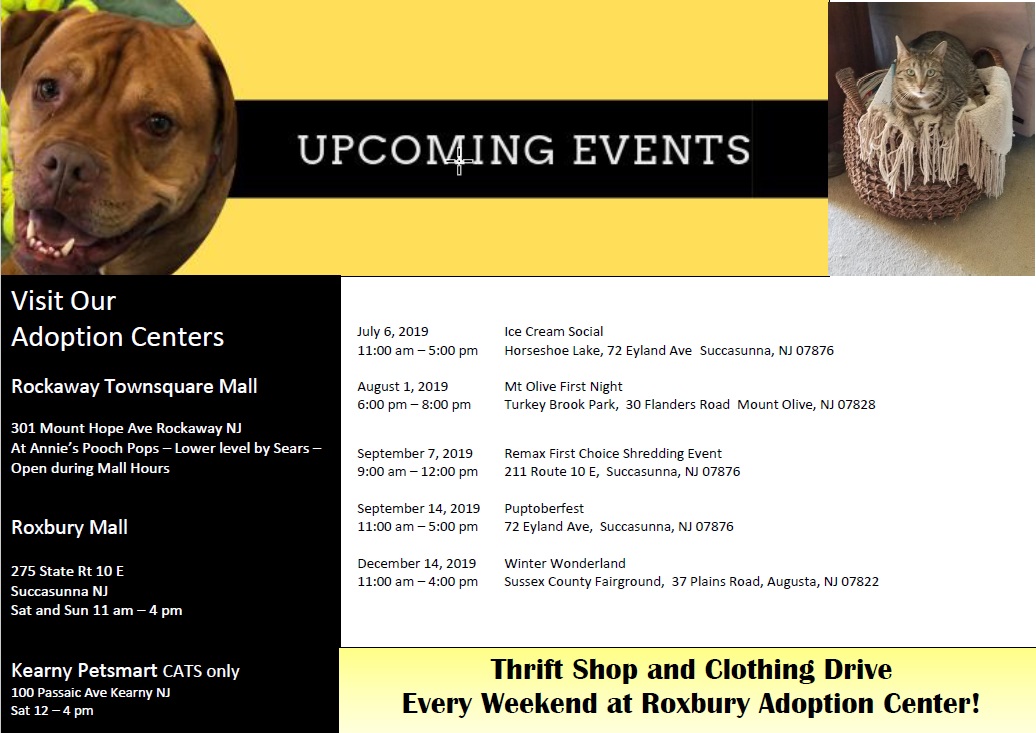 Tags For Hope Coupon Code All You Need Infos