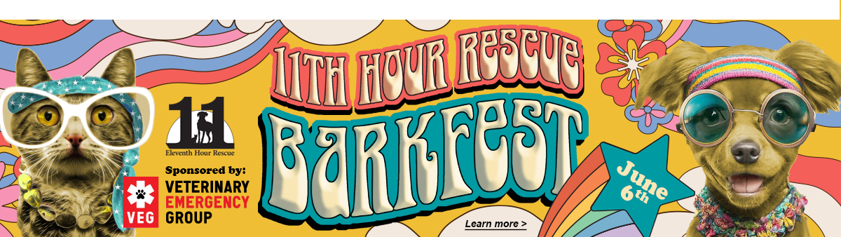 11th Hour Rescue Eleventh Hour Rescue | Morris County NJ