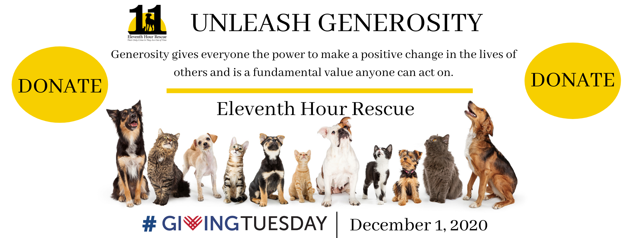 24 hour animal rescue