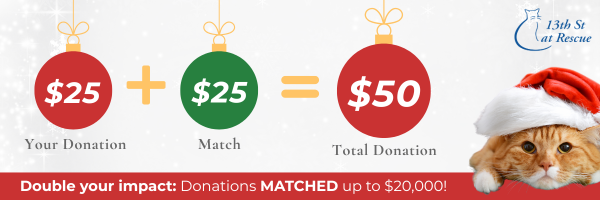 2025 Donation Match