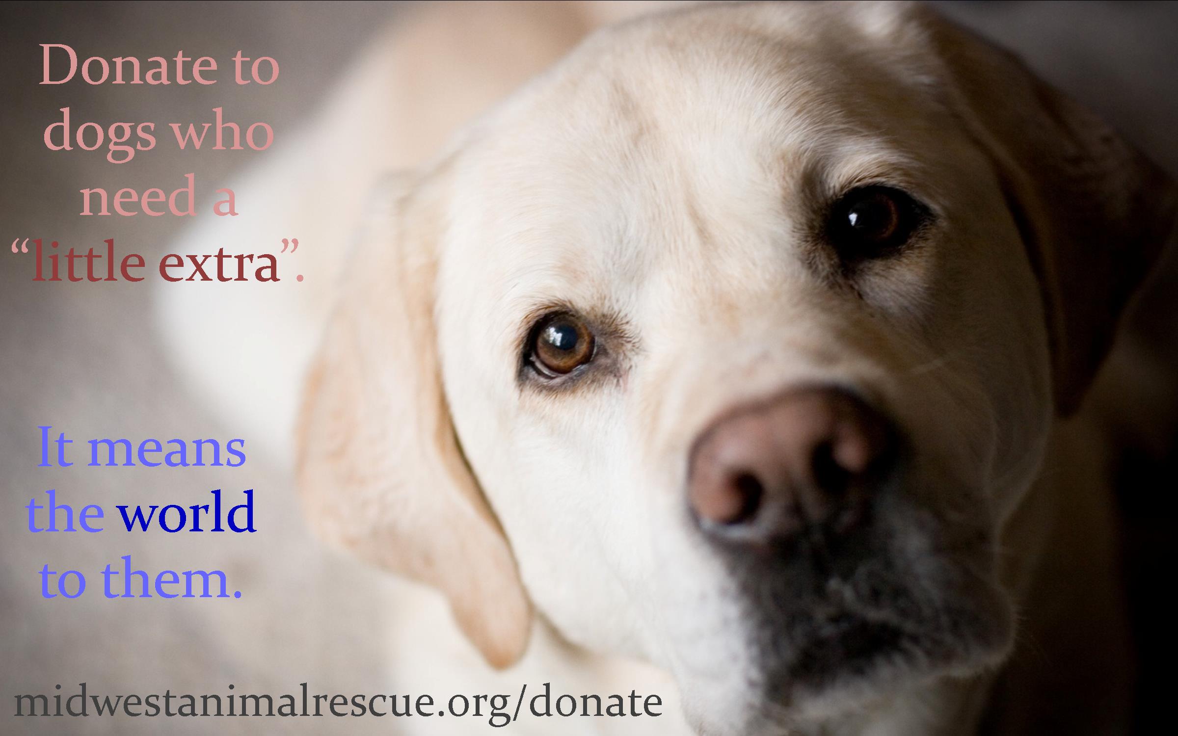 Donation Information