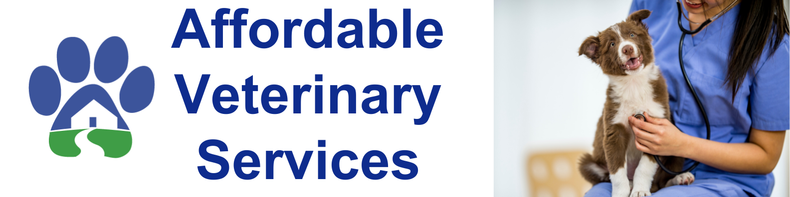 2025 Vet Page Banner