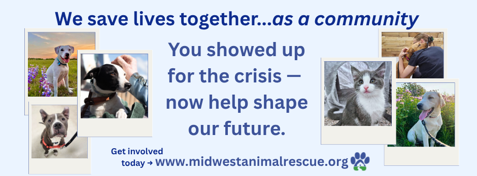 Post-Campaign Banner