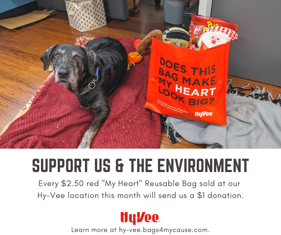 Hy-Vee Reusable Bag - March 2022