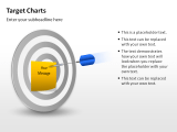 Dart Arrows with Target 4 