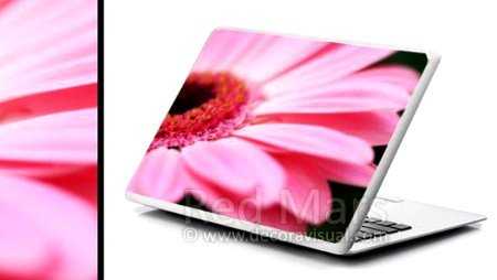 DecoraVisual-flor-rosada