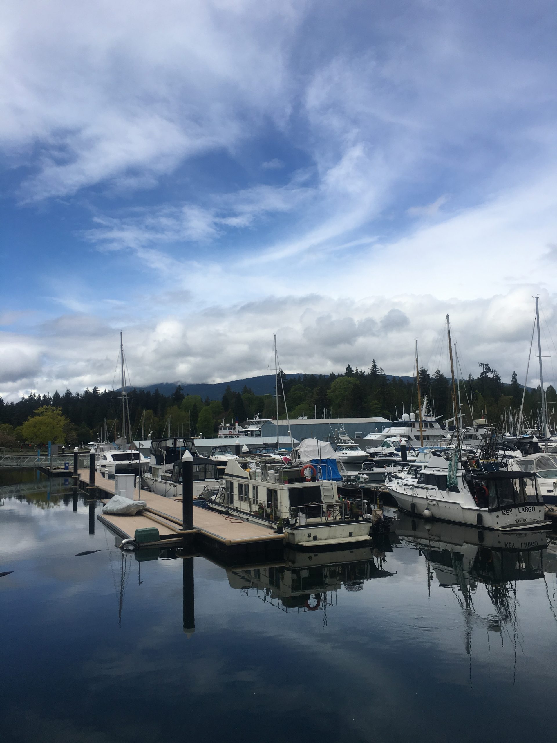 Coal Harbour Condos For Sale Welovekits, Regan Pyke Welovekits