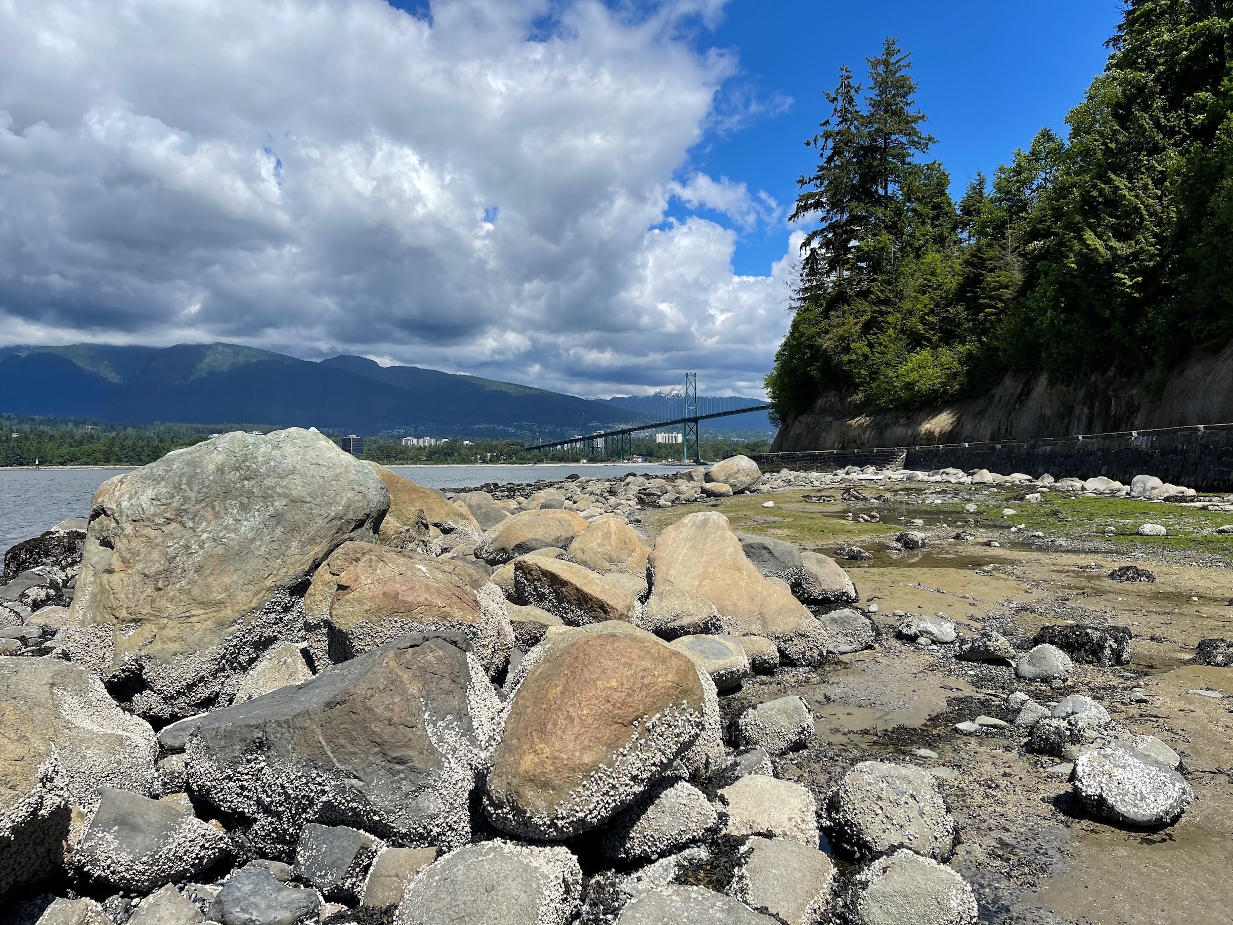 Kitsilano Real Estate and Vancouver Real Estate Stats for May 2021 courtesy of welovekits.ca